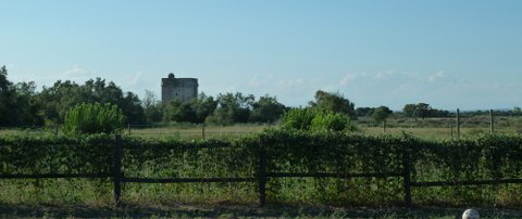 Tour de la Carbonnière