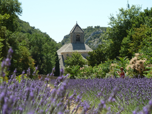 Senanque