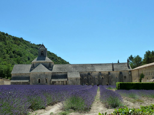 Senanque