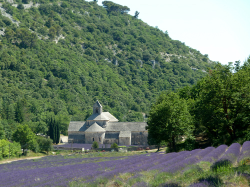 Senanque