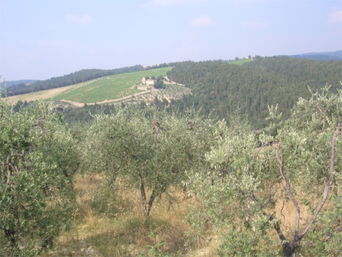 Castellina in Chianti