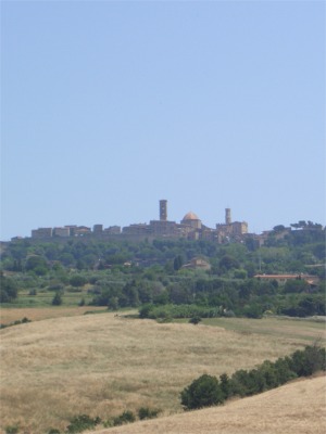 Volterra