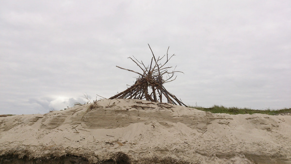 Strandgut