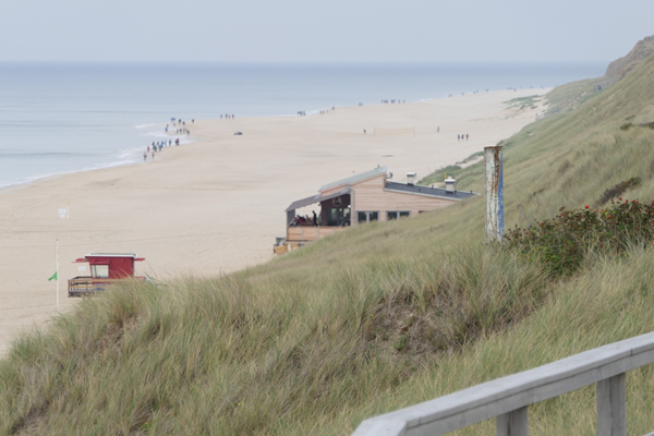 Onkel Johnny's Strandwirtschaft