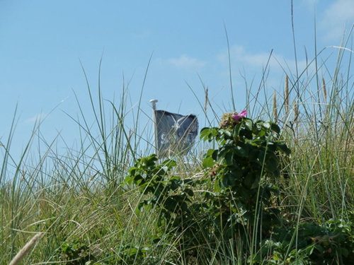 Sansibar im Sommer
