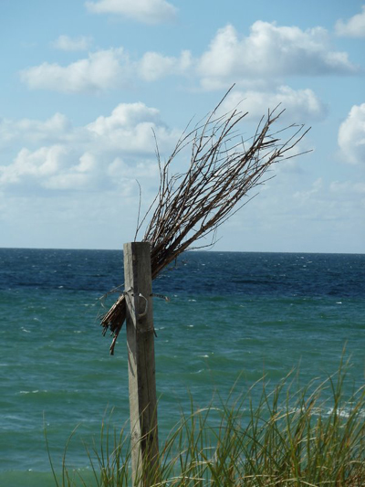By the sea