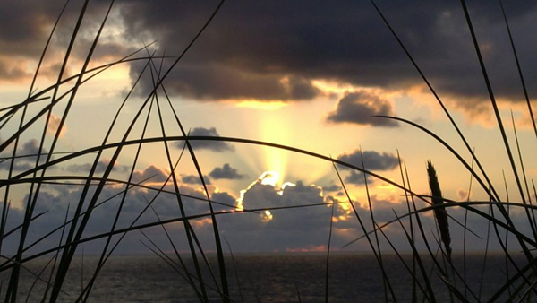 Sonnenuntergang 2010
