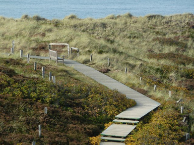 auf dem Weg